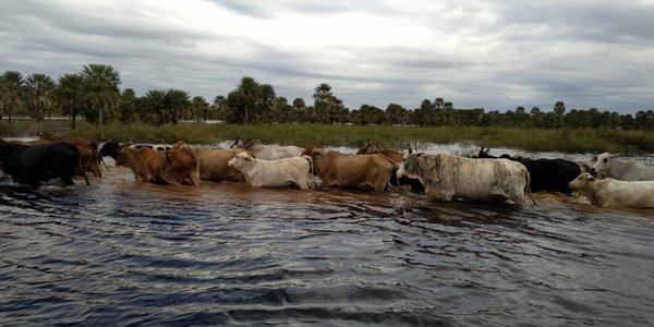 Toda una comunidad de Villeta bajo agua | Paraguay en Noticias