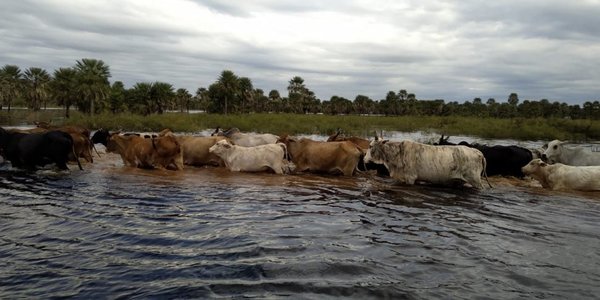 Toda una comunidad de Villeta bajo agua | Paraguay en Noticias 