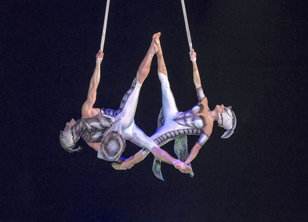 Cirque Du Soleil trae su show “Ovo” al SND Arena