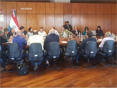 Itaipú: Discrepancia entre técnicos por las negociaciones