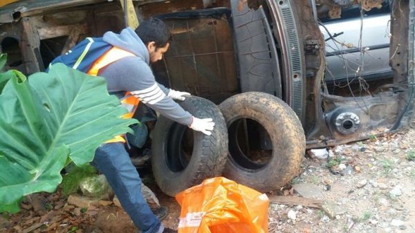Más de 300 operarios participan de rastrillajes contra el dengue en Alto Paraná » Ñanduti