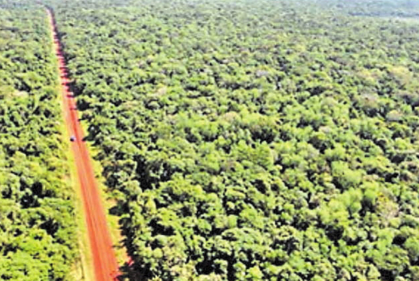 En Santa Fe claman por 32 km de pavimento | Diario Vanguardia 07