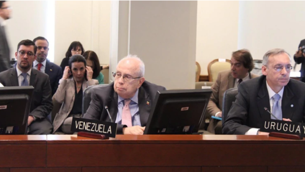Representante de Guaidó en OEA arremete contra Maduro - ADN Paraguayo