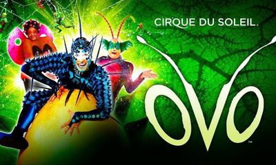 La magia del Cirque Du Soleil llega nuevamente a Paraguay con el show “Ovo”