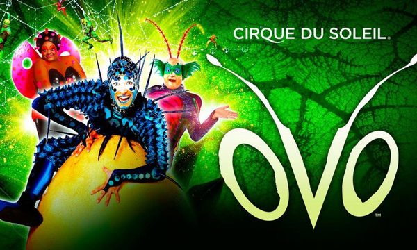La magia del Cirque Du Soleil llega nuevamente a Paraguay con el show “Ovo”