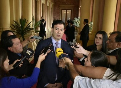 Ovelar: proyecto de PPQ sobre desbloqueo es “el más sólido” - Nacionales - ABC Color
