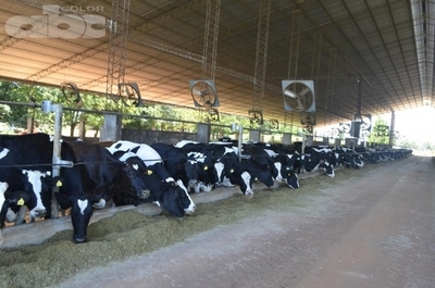 Tambo moderno y garantía en la producción de leche - Ing. Agr. Hugo Kehler (*) - Edicion Impresa - ABC Color