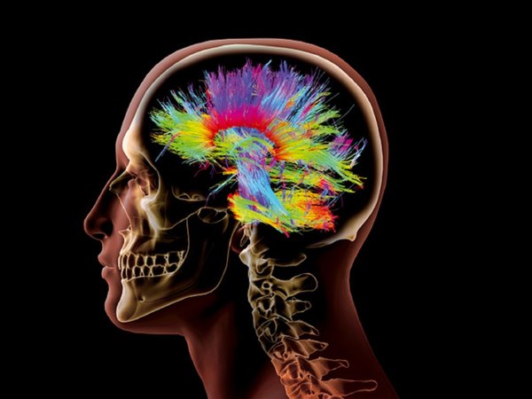 Dispositivo convierte señales cerebrales en un habla fluido