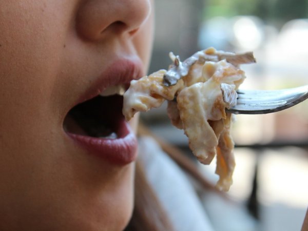 Descubren el circuito cerebral que motiva a seguir comiendo sin hambre
