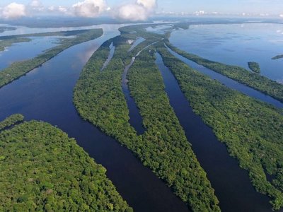 Hace 10.000 años que en Amazonia viven comunidades estables