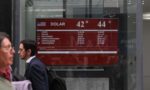 Argentina vive un "miércoles negro" con el dólar y prima de riesgo disparados » Ñanduti