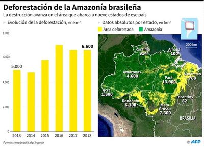Deforestación convierte Amazonía en polvorín