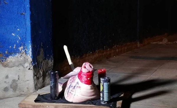 Paje en Luque: cabeza de chancho con cuchillo y un atento mensaje | Paraguay en Noticias