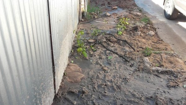 Vereda inundada hace meses - Cronicas Ciudadanas - ABC Color