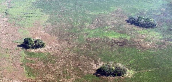 En la Amazonía ya vivían comunidades estables hace más de 10.000 años - Ciencia - ABC Color