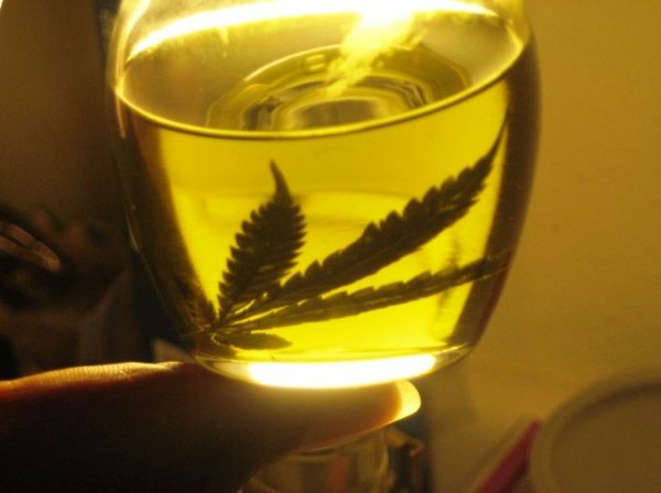 Cannabis Medicinal: Realizarán estricto control cruzado, dicen - 730am - ABC Color