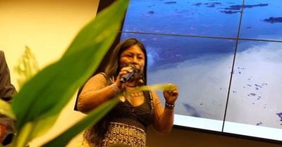 Tibia recepción a indígenas en el Congreso de Brasil