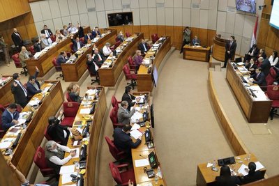 Senado aprueba en proyecto de desbloqueo de listas electorales | .::Agencia IP::.