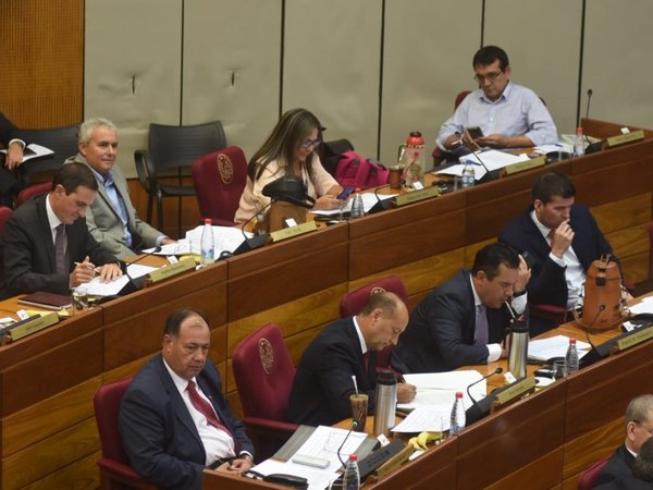 Senado posterga el tratamiento de votos y escrutinio electrónico | Paraguay en Noticias