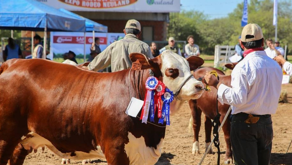 Expo Rodeo Neuland celebra 25 años de trabajo y tradición