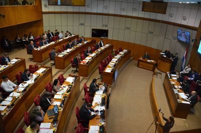 Senado aprobó desbloqueo de listas en internas y generales - ADN Paraguayo