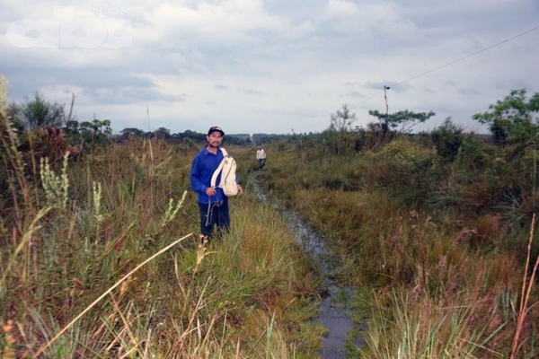 Pobladores claman por camino en Manduará | Paraguay en Noticias