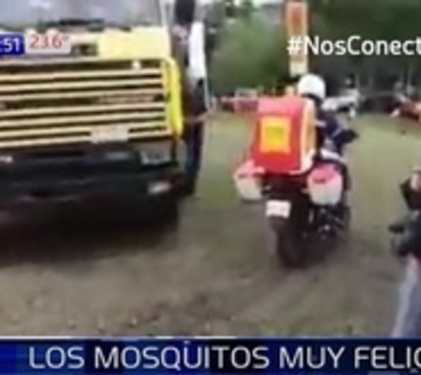 Inauguran motofumigadoras, pero mosquitos siguen felices - Paraguay.com
