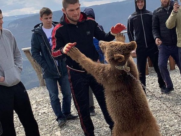 Luchador causa indignación tras simular pelea con un oso encadenado