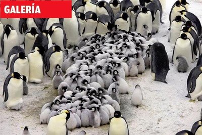 Consecuencias del cambio climático