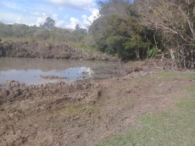 Constatan delito ambiental en un campo comunal de Hugua Puku | Paraguay en Noticias 