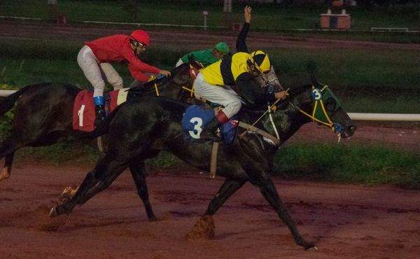 Los Derbys Hembra y Macho son atracción principal