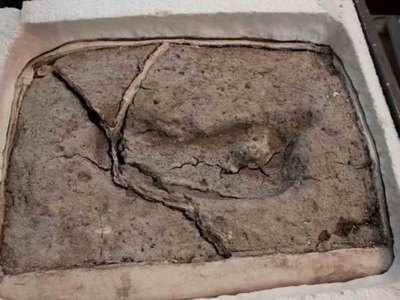 Pillaron huella humana de unos 15 mil años voi