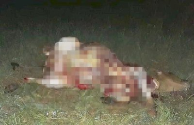 ABIGEO ES ASESINADO JUNTO AL ANIMAL QUE ESTABA CARNEANDO