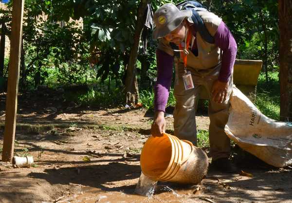 Cerca de 45.000 criaderos fueron eliminados en campaña antidengue en Alto Paraná | .::Agencia IP::.