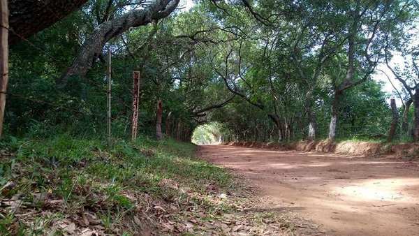 Anuncian buen tiempo para hoy, pero mañana vuelven las lluvias - Digital Misiones