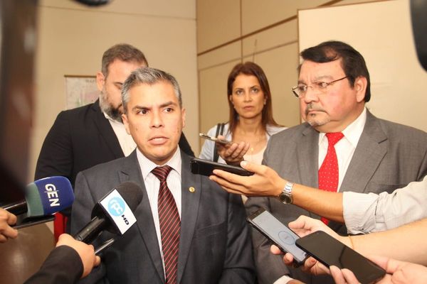 Inscriben a Honor Colorado en el TEP