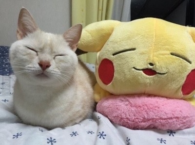 Cenizas de “Pikachu” orbitarán la Tierra - ADN Paraguayo