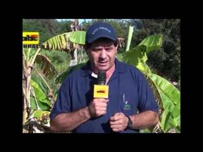 Programa ABC Rural TV 879 - Edicion Impresa - ABC Color