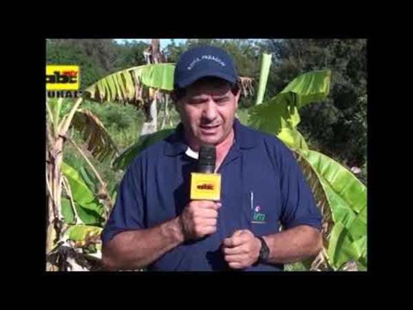 Programa ABC Rural TV 879 - Edicion Impresa - ABC Color