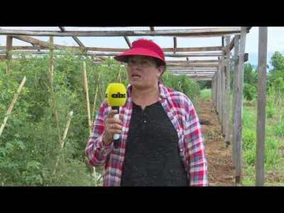 Horticultura durante todo el año - Tv - ABC Color