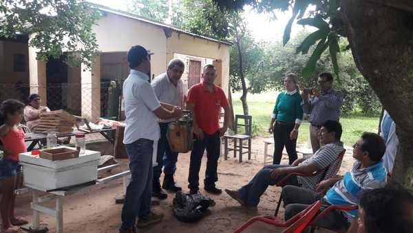 Productores del sector apícola buscan consolidarse en Paraguarí - ADN Paraguayo