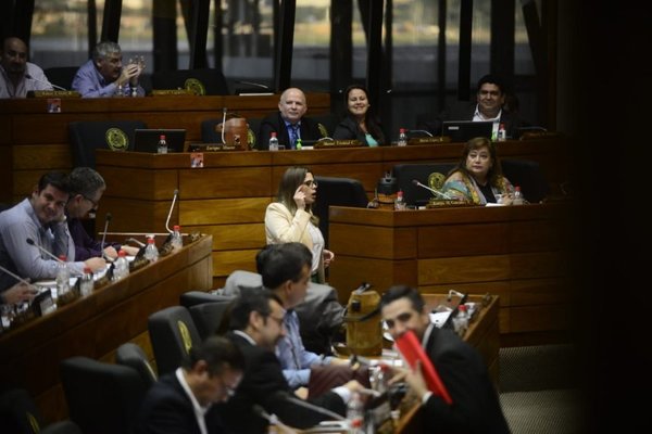 Kattya “pide perdón” a Garay Zuccolillo - Nacionales - ABC Color