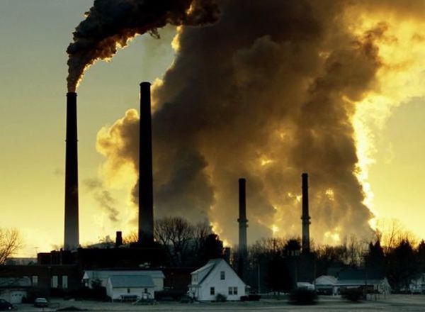 Destrucción de naturaleza amenaza la humanidad