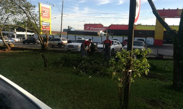 Delito ambiental sobre la Avenida San Blas