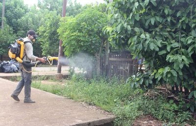 Epidemia del dengue podría extenderse durante el invierno - Nacionales - ABC Color