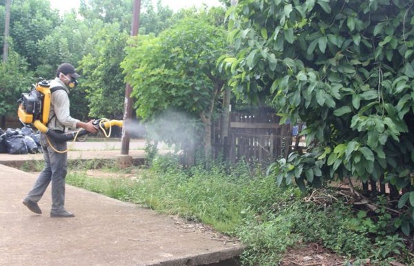 Dengue podría extenderse durante el invierno | Paraguay en Noticias