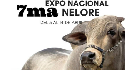 Nelore exhibirá ganado de alta calidad genética en su Expo Nacional 2019