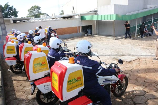 Alto Paraná: en desarrollo la campaña “Pará-na los criaderos” | Paraguay en Noticias