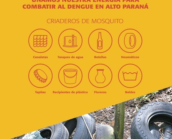 Confirman dos muertes por dengue y Alto Paraná supera  los 1.500 casos