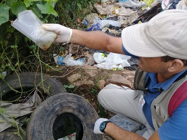Gran cantidad de criaderos de mosquitos en Pilar - ADN Paraguayo